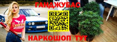 стафф Обь