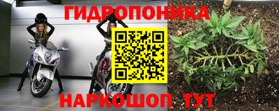 стафф Обь